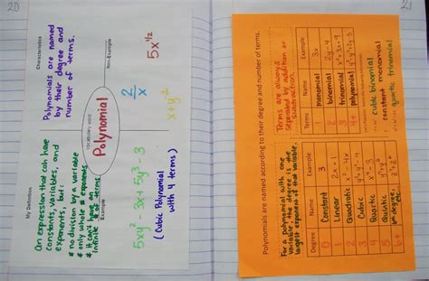 Naming Polynomials Graphic Organizer Math Love