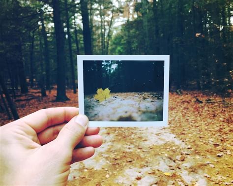 Premium Photo Cropped Image Of Hand Holding Tree Trunk