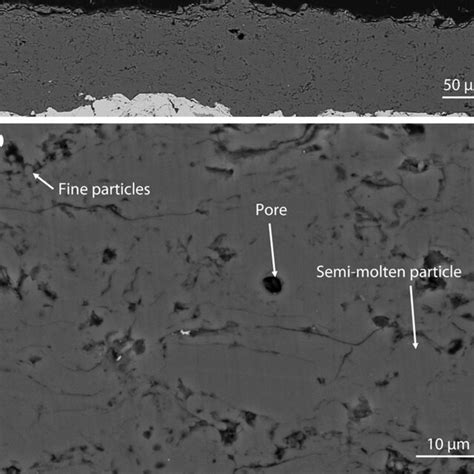 A Bse Sem Micrograph Of A Cross Section Of The Aps Sprayed Silicon Download Scientific Diagram