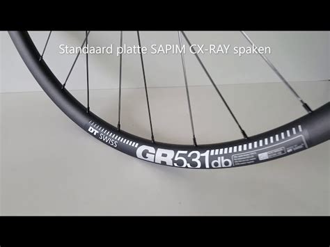 Dt Swiss Gr X Disk Brake Rdgr Bdpw Sa