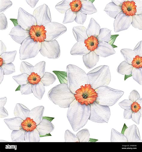 Daffodils Seamless Pattern Watercolor Illustration Hand Drawing