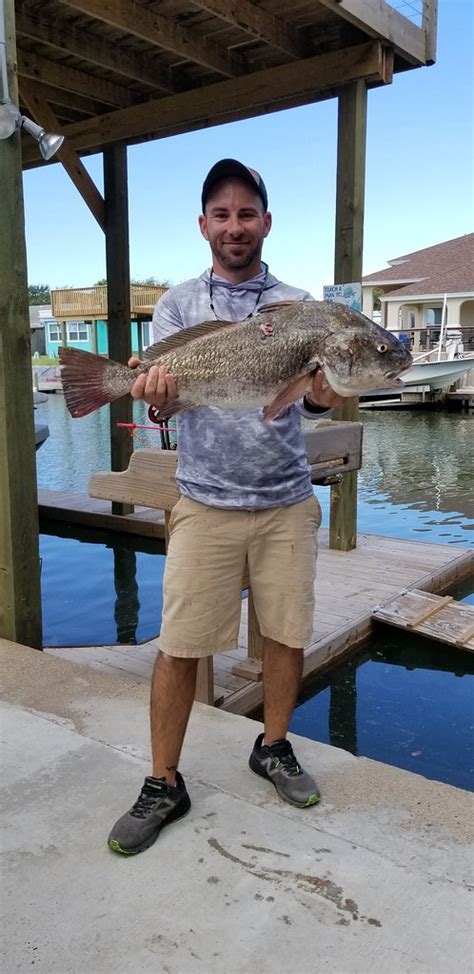 Record Black Drum