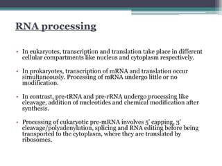 5 Capping PPT