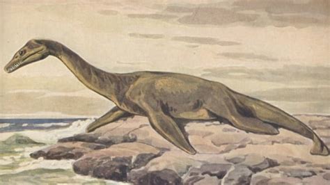 Researchers chipping away at marine reptile fossil found near Fort McMurray | CBC News