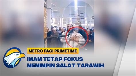 Viral Kucing Naik Ke Pundak Imam Saat Salat Tarawih Youtube