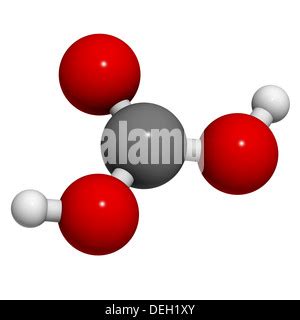 Carbonic acid (H2CO3) molecule, chemical structure. Found in carbonated ...