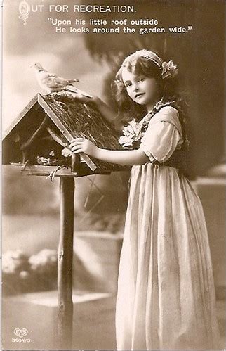 Vintage Postcard Chicks Flickr