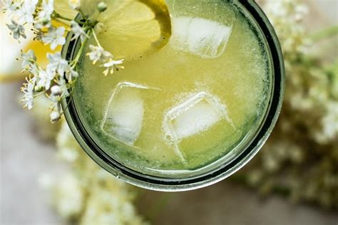 Limonade de sureau maison recette rafraîchissante et infos utiles