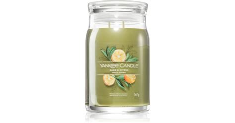 Yankee Candle Sage Citrus Candela Profumata Signature Notino It