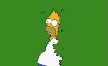 Homer In A Bush Blank Template Imgflip