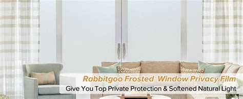 Rabbitgoo Window Privacy Film Frosted Glass Window Film Removable Opaque Sun