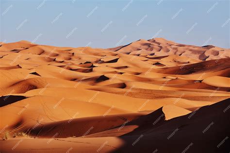 Premium Photo | Landscape in the sahara desert