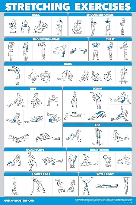 Quickfit Stretching Workout Exercise Poster Stretch Routine