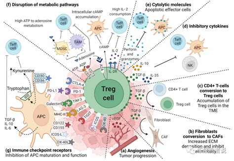 Treg Medsci Cn