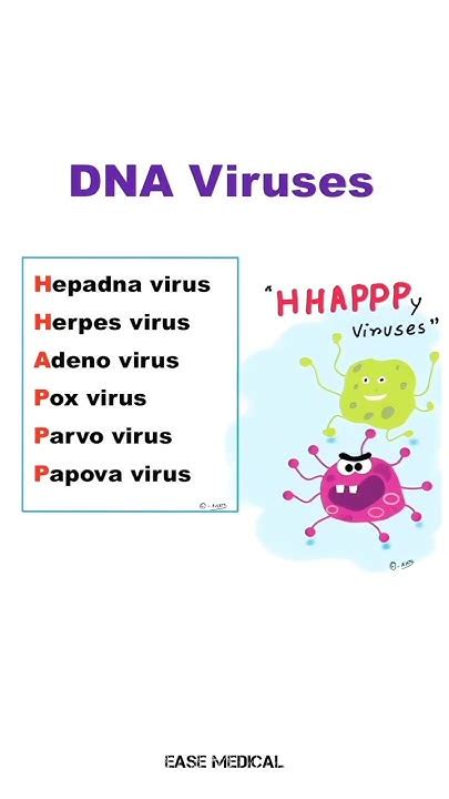 Easy Way To Remember Dna Viruses Mnemonics Easemedical Youtube