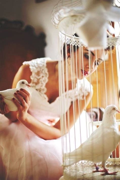 19 best images about wedding doves on Pinterest | More Back to, London and Wedding ideas