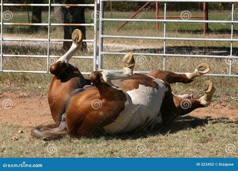 Rolling Horse Stock Photography - Image: 323452