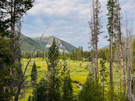 Cape Horn Creek Access Idaho Off Road Trail Map And Photos Onx Offroad