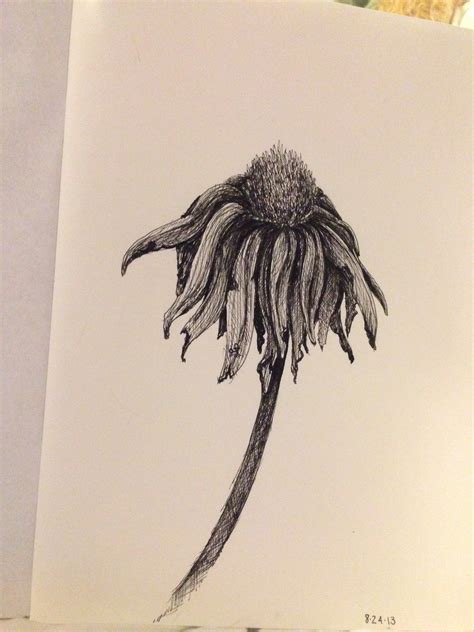 Dead Flower Drawing at GetDrawings | Free download