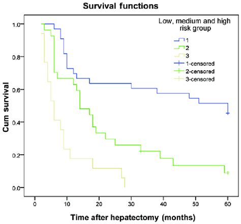 Overall Survival Curve For Patients In The Validation Group Who Were