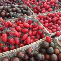 Parliament Hill Farmers Market Tips From Visitors