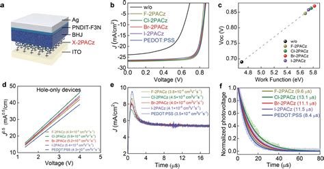 纳米人 Adv Energy Mater：基于n掺杂体异质结和卤素取代自组装单层作为空穴提取中间层的189高效有机太阳能电池