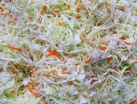 10 Sauerkraut Health Benefits, And How To Make It » 2024