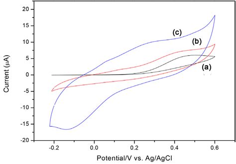 Cyclic Voltammograms Of 30 μmol L 1 Aa In 01mol L 1 Phosphate Buffer Download Scientific