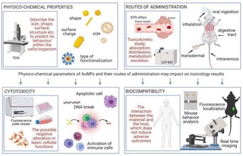 Ijms Free Full Text Biocompatibility And Cytotoxicity Of Gold