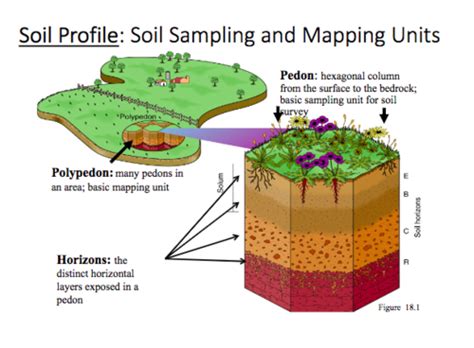 Soil Taxonomy Flashcards Quizlet