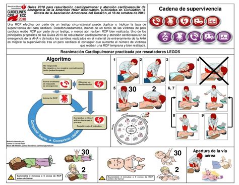 Soporte Vital Básico Rcp Primeros Auxilios Cosas De Enfermeria Primeros Auxilios