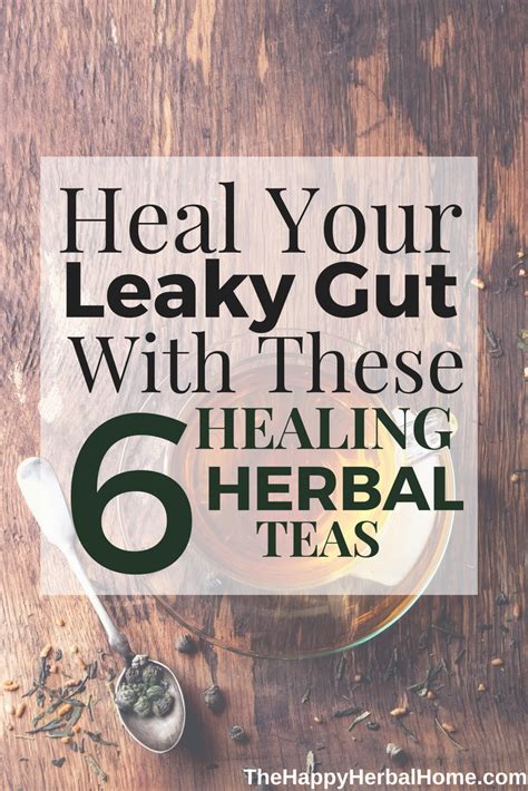 Gut Healing Herbal Teas Herbs To Help Heal Leaky Gut Syndrome Artofit