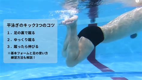 平泳ぎのキックが上達する3つのコツ！正しい足の「使い方・蹴り方」 東京・神奈川で水泳の個人レッスン（スイミングの個人レッスン）を受けるなら