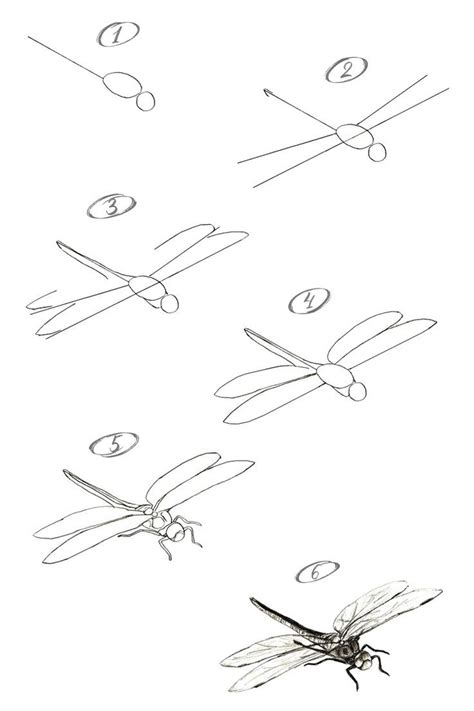 How To Draw A Dragonfly Step By Step Drawing Tutorial Artofit