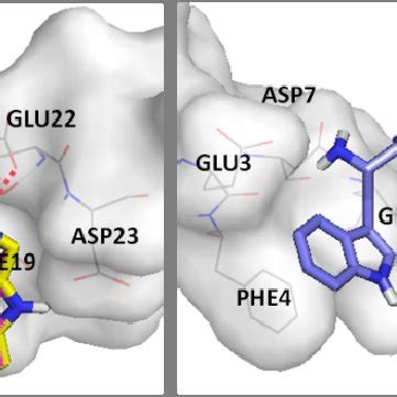 The Binding Mode Of Compounds With Amyloid A C Pink