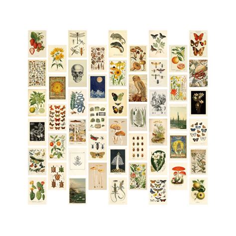 Symkmb Vintage Aesthetic Wall Collage Kit 50 Mini Botanical Collage