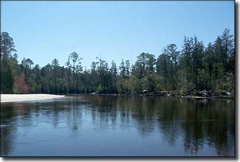 Blackwater River State Forest