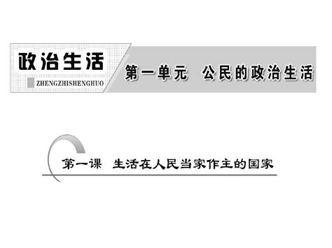 2015一轮复习：生活在人民当家做主的国家word文档在线阅读与下载无忧文档