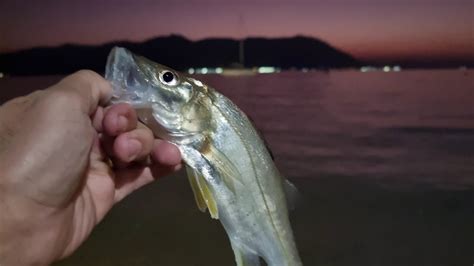 Pescaria Nas Pedras Do Mar De Robalo Pesca Ultralight Na Praia