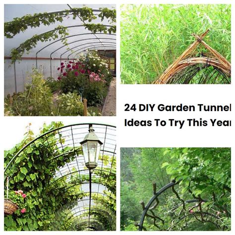 24 DIY Garden Tunnel Ideas To Try This Year | SharonSable