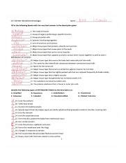 Anatomy And Physiology Coloring Workbook Answers Chapter C Ch 5