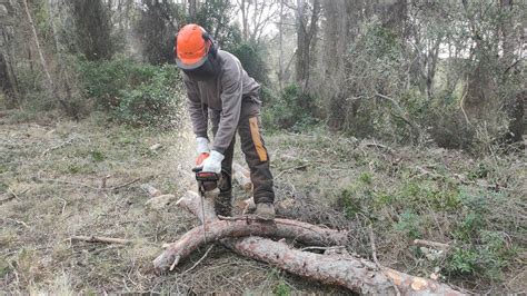 Tarragona inicia els treballs de prevenció contra els incendis en boscos