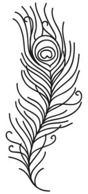 Peacock Feather Drawing At Getdrawings Free Download