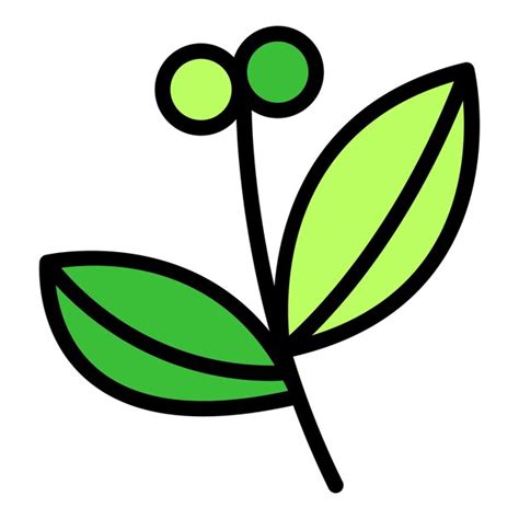 Premium Vector Food Oregano Icon Outline Vector Leaf Herb Plant Basil