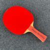 Custom Ping Pong Paddle Personalize Your Own CounterStrike Table