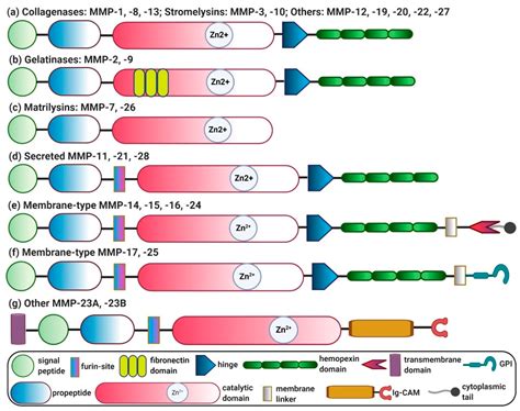 Mmp 2 Active Form New Form