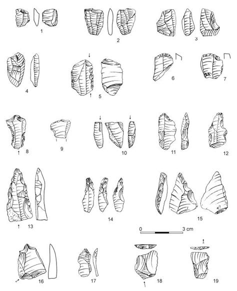 Mesolithic artifacts from Roos | Download Scientific Diagram