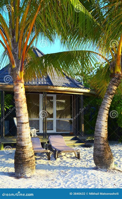 Tropical Bungalow Among Palm Trees Royalty Free Stock Photo