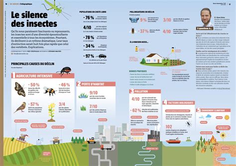 Infographie Infographiste Graphiste St Phanie Wauters