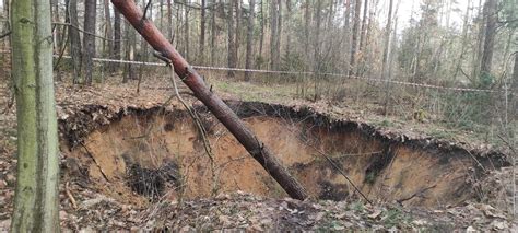 Nowe zapadlisko w Trzebini Wielki lej pojawił się w lesie Obowiązuje